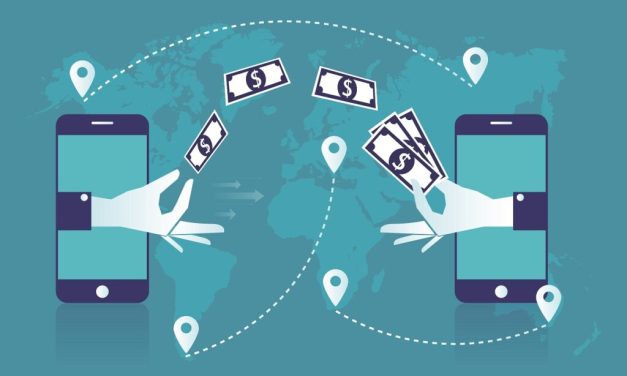 Starting A Registered Money Transfer Service In Zimbabwe