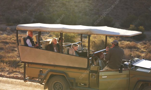 Starting a Tour Guide Business in Zimbabwe